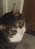 upload_2020-1-3_9-4-5.png