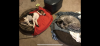 9421854D-5696-4F4B-90AF-4211B51E988E.png