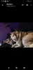 Screenshot_20200129-191018.png