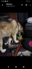 Screenshot_20200129-191001.png
