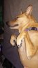 download_20181109_051140.jpg