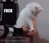 tenor (32).gif