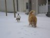 FB_IMG_1580918474783.jpg