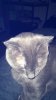 64FACF42-D998-4C8F-A22B-A729051D6ABD.jpeg