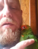 upload_2020-2-23_16-35-55.png