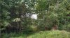 IMG_20190905_170108539_HDR.jpg
