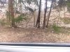 IMG_20200226_140414587.jpg