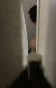 9F7A4F86-DB38-45E2-8BDF-A77473E91BB6.jpeg