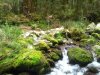 IMG_20200302_144624.jpg