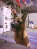 FB_IMG_1584054060123.jpg