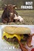 best-friends.jpg