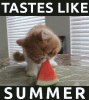 82CED1B3-DB39-4E73-8C54-FE30CAF42C74.gif