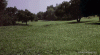 giphy-33.gif