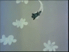 CookedWeakBeauceron-size_restricted.gif