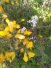 IMG_20200401_124345.jpg