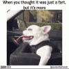 EC264B95-0AF8-412D-A591-866FE49CA207.gif