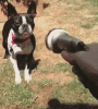 8B7B4AE5-3BA7-434F-BE64-0A626B9214FB.gif