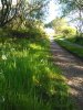 IMG_20200515_182509.jpg