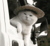 FC748C4A-8434-4E3F-AF62-8B15929B7AC5.gif