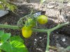 DSC03948.JPG