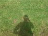 IMG_20200603_155658004.jpg