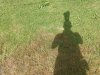 IMG_20200603_165446291.jpg