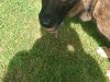 IMG_20200603_155534167.jpg