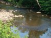 IMG_20200613_175934154.jpg