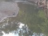 IMG_20200613_175748682.jpg