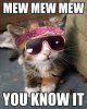 Zack Ryder cat #WWE.jpeg