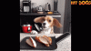 AD96E282-F1CD-48B6-9CED-8A8A75A2DA2D.gif