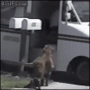 5D659540-B957-44E1-AA44-43EDC11E43DD.gif