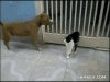 47C7C18E-61FE-49F1-A723-5E05D0BF5222.gif