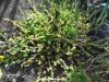 DSC03947.JPG