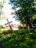 IMG_20200630_163832~2.jpg