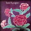 Something _ Anything (Coloured Vinyl) By Todd Rundgren.jpeg