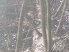 IMG_20200711_102034046.jpg