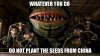 seeds.jpg