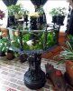 Victorian aquarium.jpg