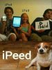 tumblr_74227cf136753386641e19a171480c8e_9201be02_1280.jpg