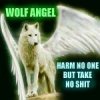 WOLF ANGEL 1.jpg
