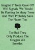 Trees.jpg