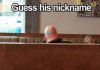 FB_IMG_1510240816772.jpg