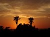 DSC04934.JPG
