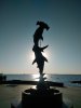 IMG_20201009_175943.jpg