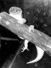 20201110_123749.jpg