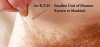 R.P.H -thinnest unit of measure - 1B.jpg