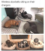 B0D784D7-3832-4599-BA69-F05C019B5A8F.png