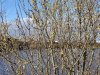 20210321_155312.jpg