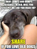 BF084797-903A-46F1-A44A-BA948D895198.png